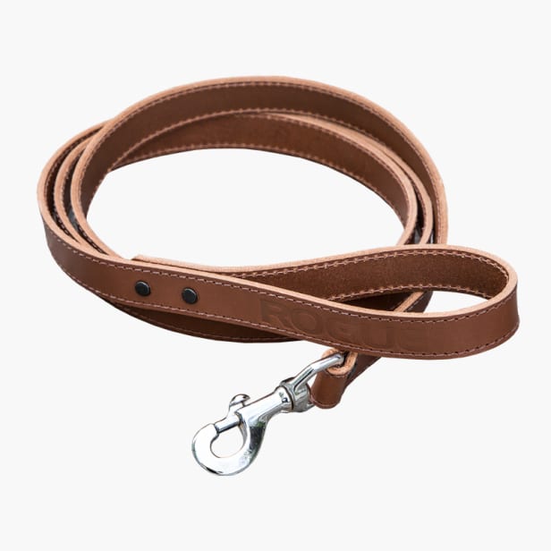 Rogue dog collar clearance
